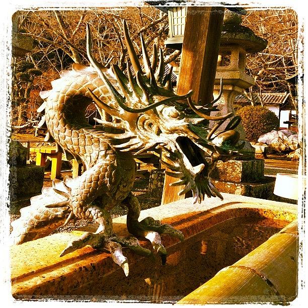 Dragon Photograph - 根来寺の龍 #iphone4 #temple by Morley🇯🇵♂ もーりー∞♂