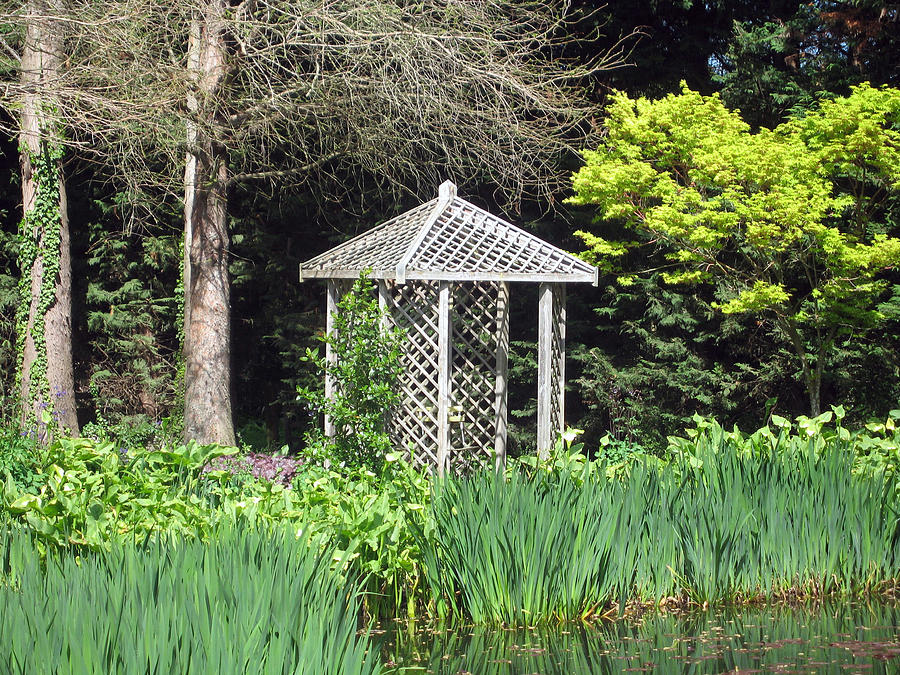 Millstream Gardens 25 Photograph by Rachael Shaw Fine Art America