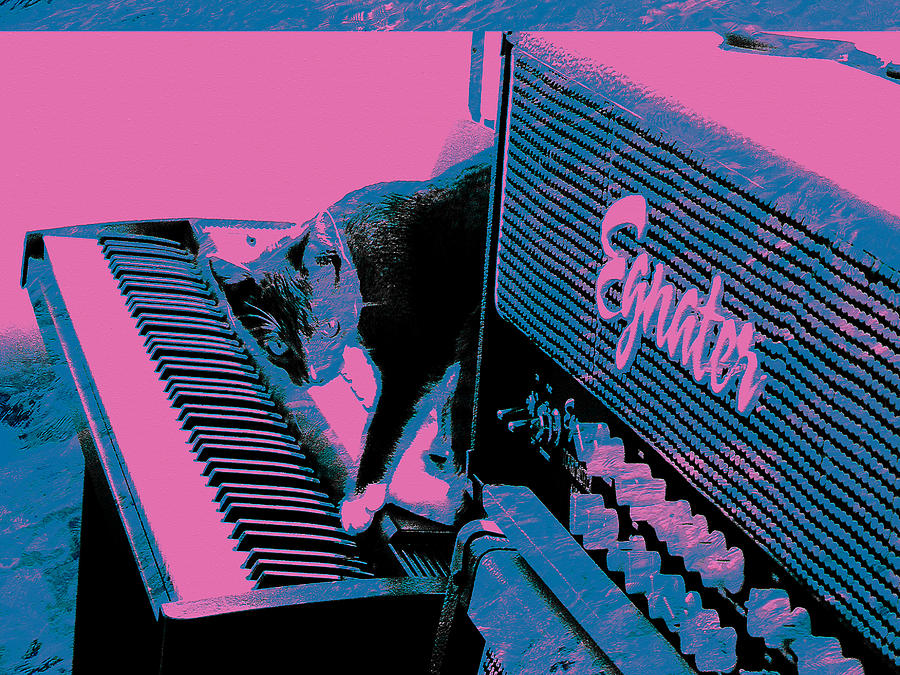  Musical Cat Digital Art by Susan Stone