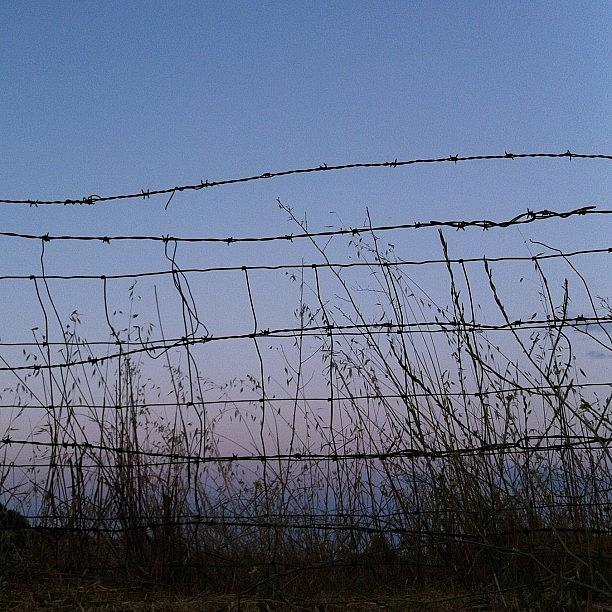[ No Boundary Beyond The Fence ] Photograph by Ink Blue
