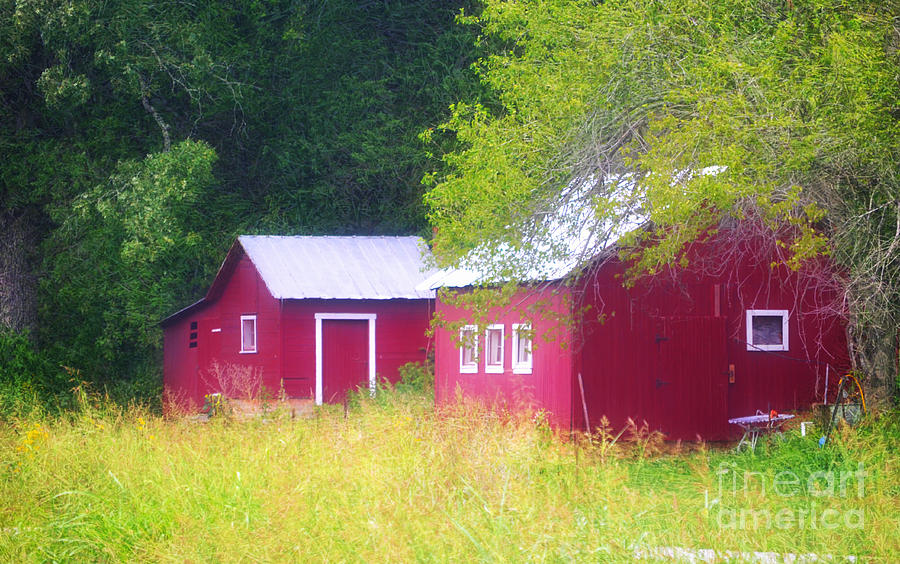  Peaceful Country Barn and Meadow Photograph by Peggy Franz