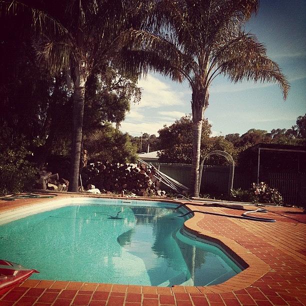 Summer Photograph - ☀🏊💜👍 #pool #summer #sun by Therese Murphy