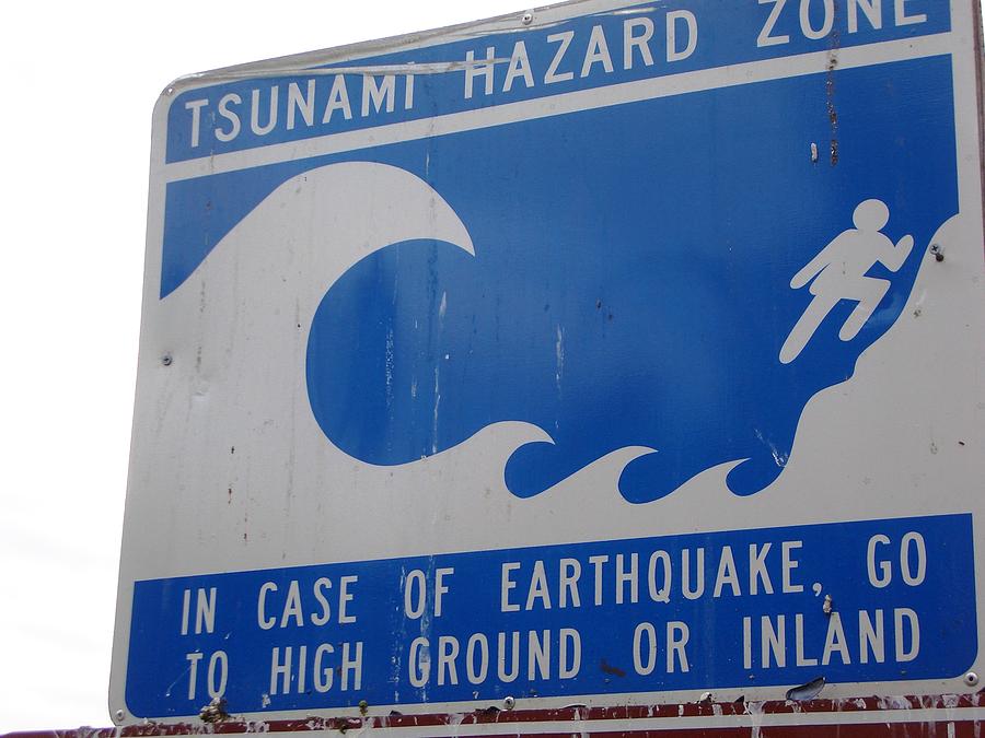 Puget Sound Tsunami Warning Sign Photograph by Judyann Matthews Fine