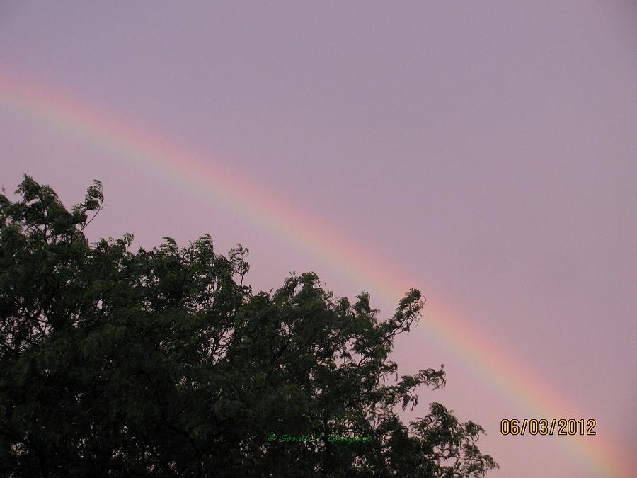 Rainbow Photograph -   Rain and Sun sync Bow by Sonali Gangane