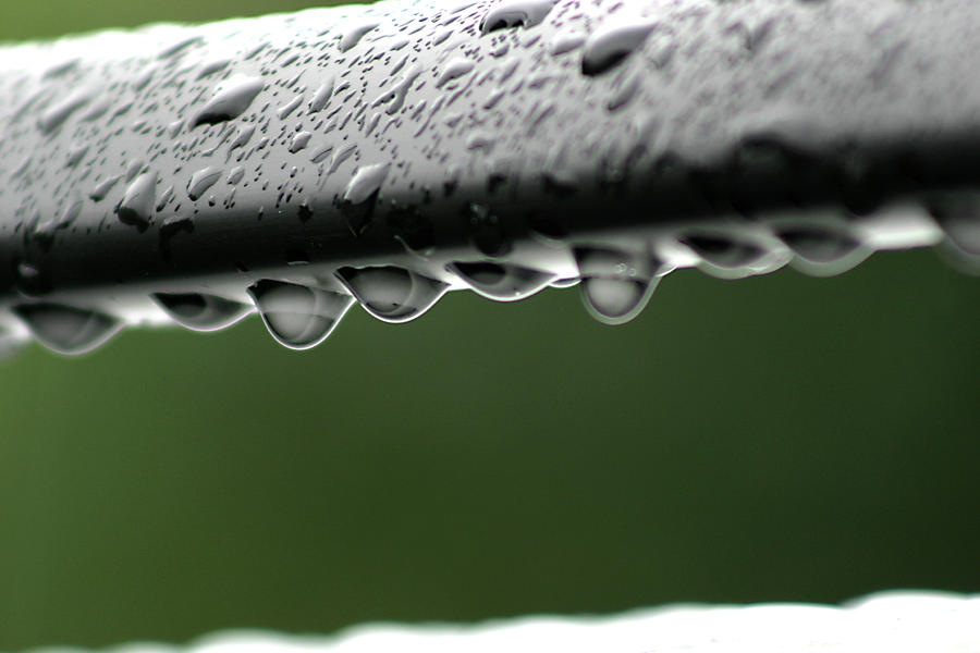  Rain drops Photograph by Emanuel Tanjala