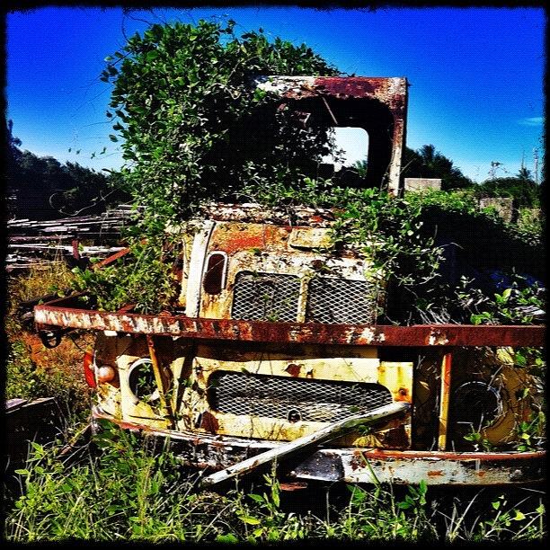 Truck Photograph - ... Sad Old Timber Truck ... Stratford by Brian Cassey