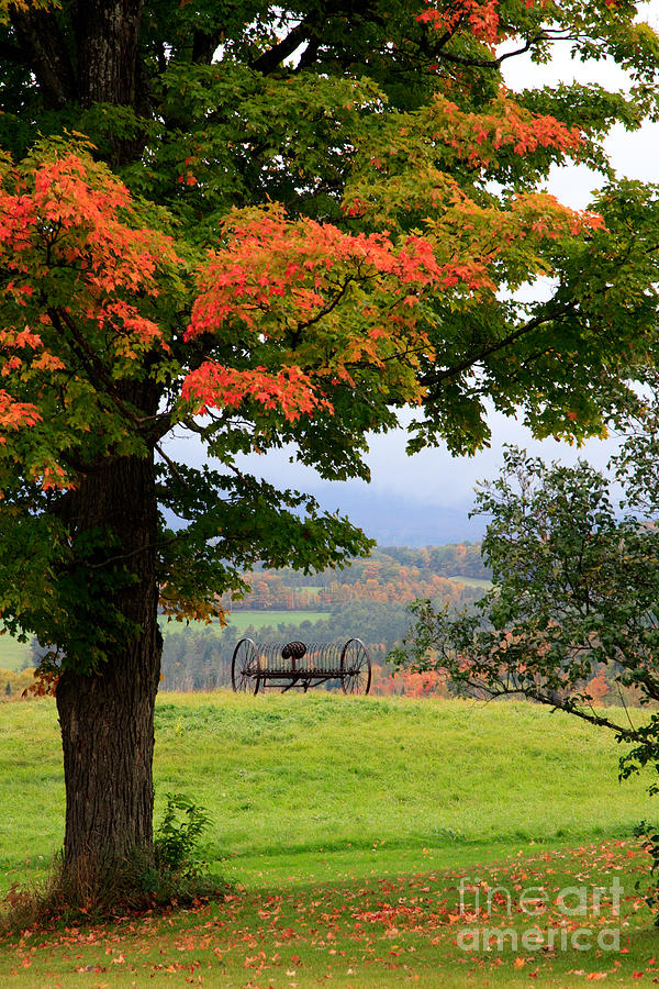 Scenic New England In Autumn Photograph