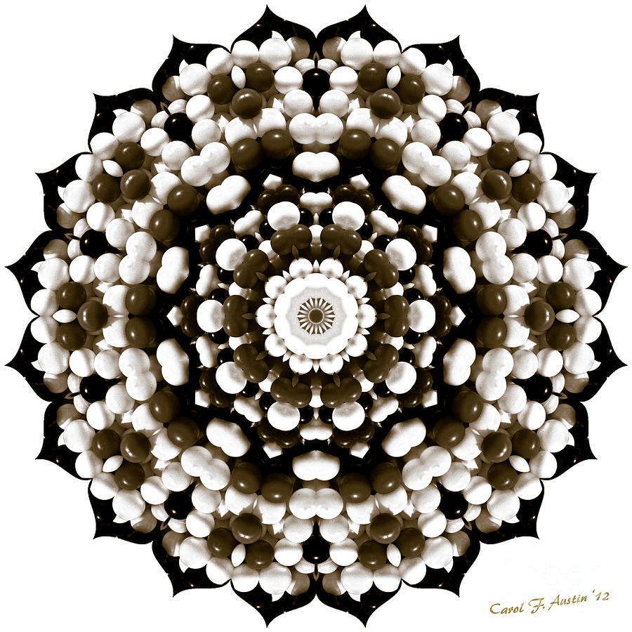  Sunflower Shape Mandala Art Photograph by Carol F Austin
