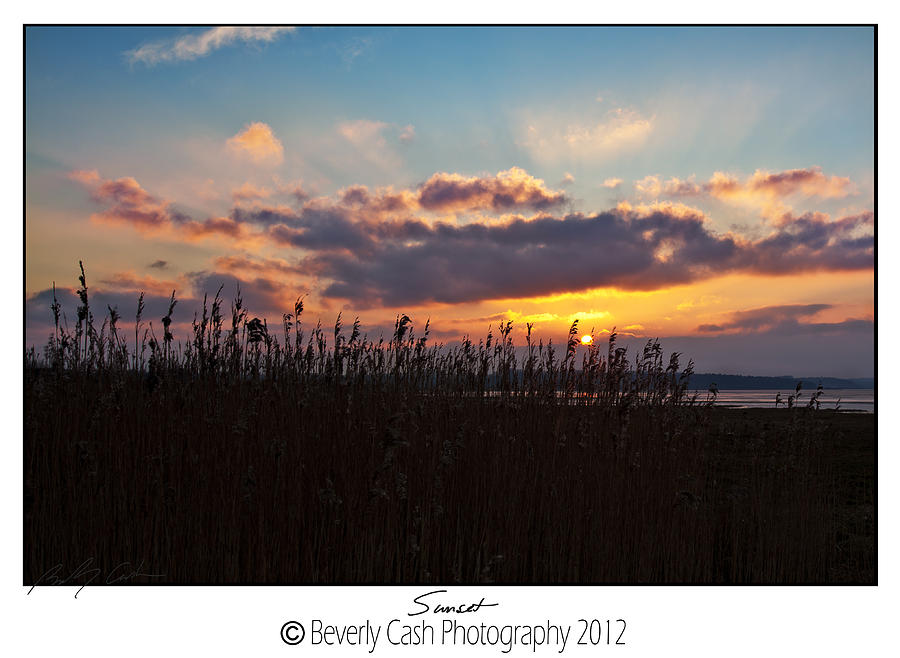  Sunset Grasses Photograph by B Cash