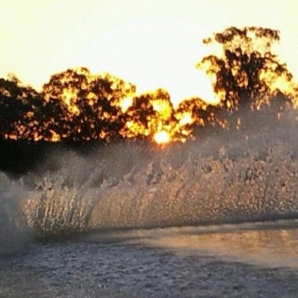 Summer Photograph - ☀🌊☀ #sunset #spray #skiing by Therese Murphy