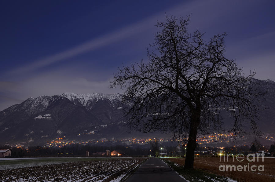 Winter Photograph -  Tree and snow-capped mountain by Mats Silvan