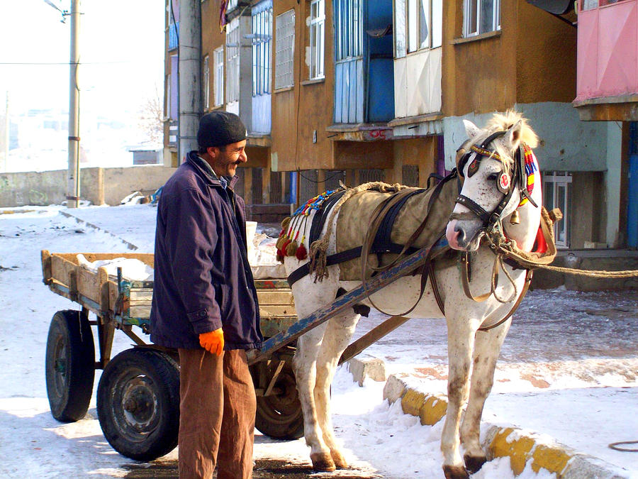   Turkish Horse Cart Photograph by Lou Ann Bagnall