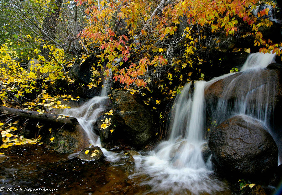  Waterfall Photograph by Mitch Shindelbower
