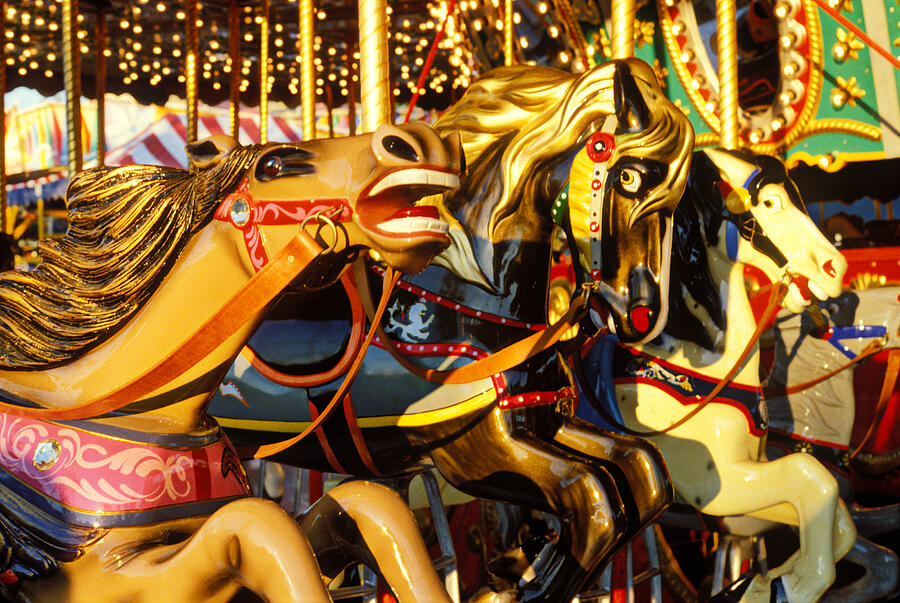  Wild carrousel horses  #1 Photograph by Garry Gay