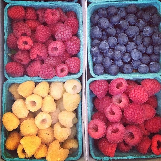 😍 Yellow Raspberries What? #mindblown Photograph by Gabby Oglesby