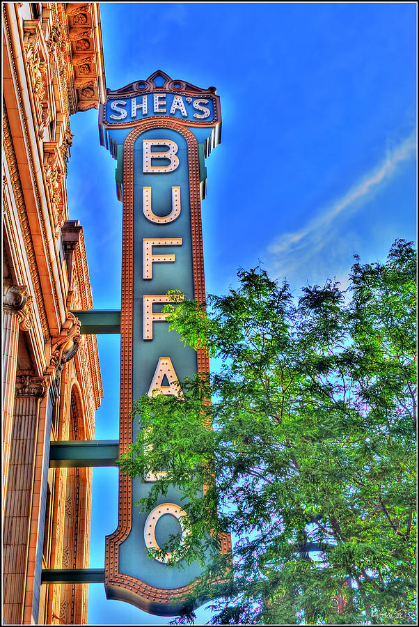 001 Sheas Buffalo Photograph by Michael Frank Jr