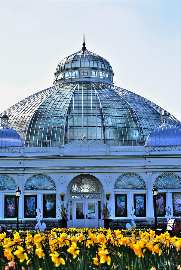 0041 Botanical Gardens Buffalo NY Series Gardens Photograph by Michael ...