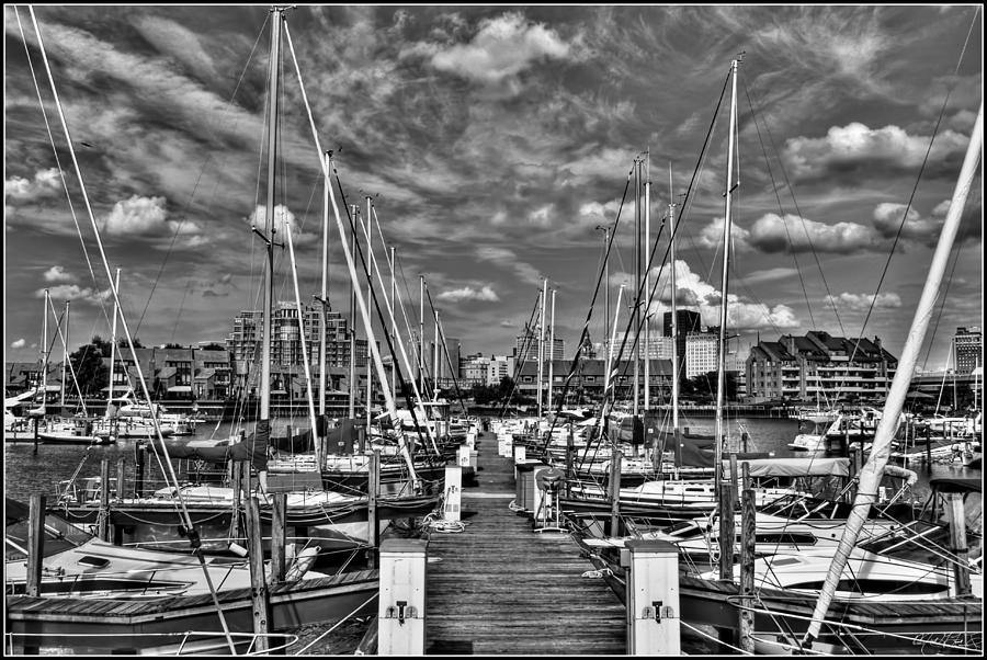 005bw On A Summers Day  Erie Basin Marina Summer Series Photograph
