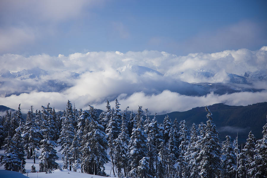 A Beautiful Winter Scene From Atop Photograph by Taylor S. Kennedy