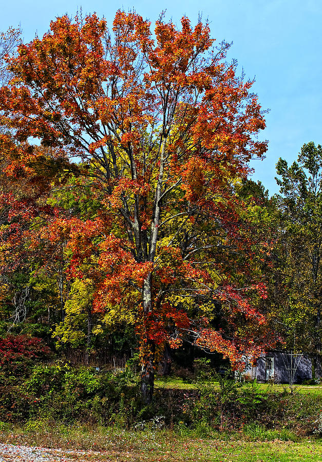 Fall Photograph - A Country Place #1 by Steve Harrington