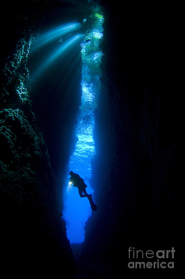 A Diver Explores The Lerus Cut Photograph
