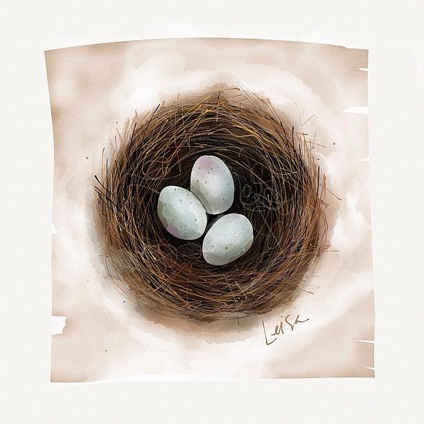 Egg Photograph - A Little Nest #1 by Leisa Artus