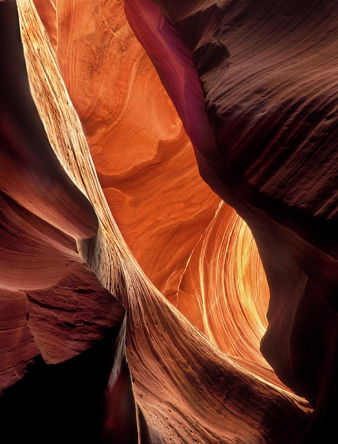 A Slot Canyon View #1 Photograph by Dave Mills