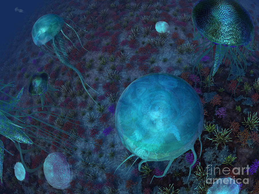 Wildlife Digital Art - A Swarm Of Jellyfish Swim #1 by Walter Myers