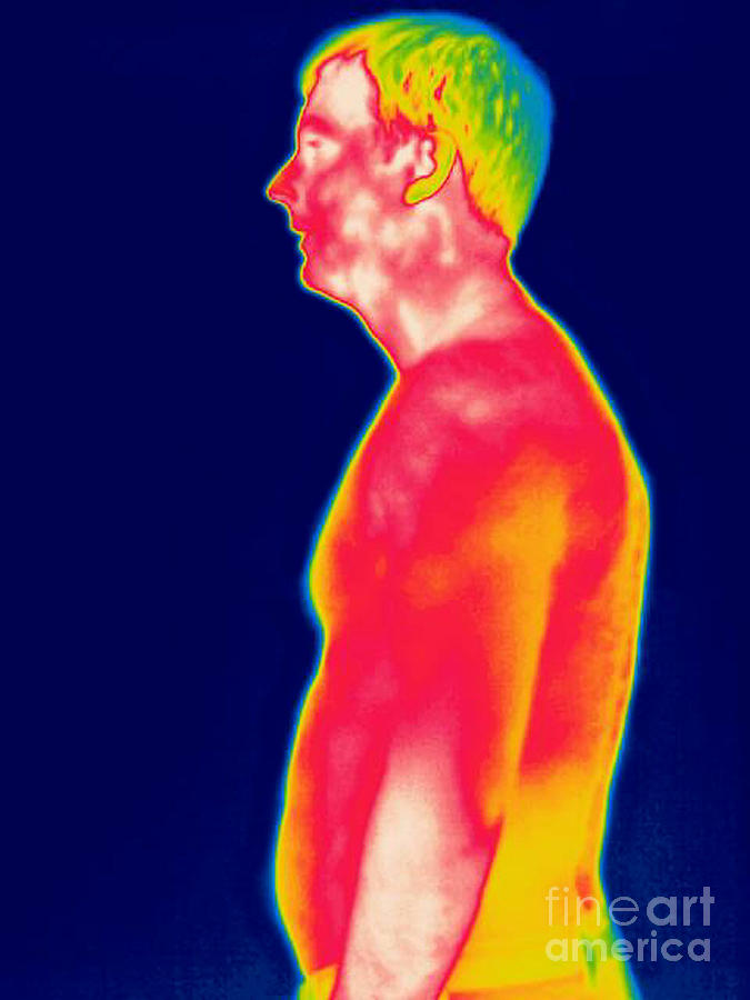 A Thermogram Of A Man #1 Photograph by Ted Kinsman