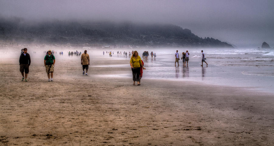A Walk in the Mist #1 Photograph by David Patterson