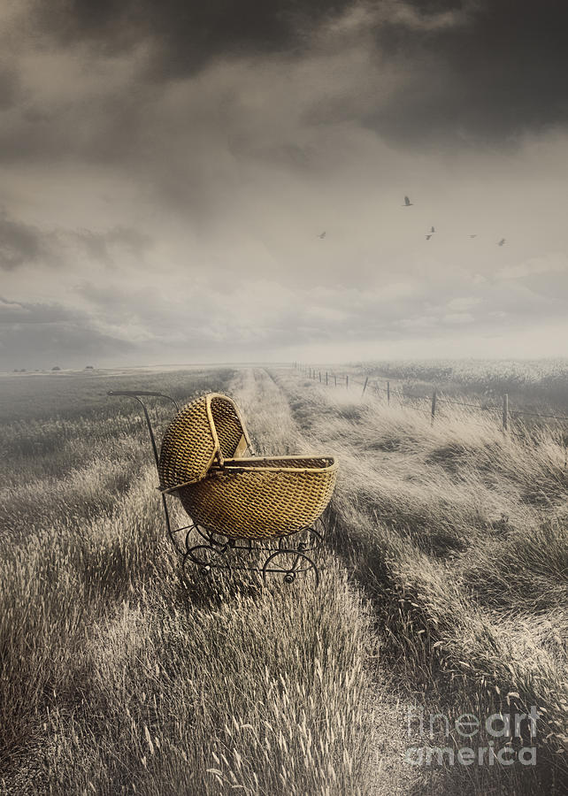 Abandoned antique baby carriage in field #1 Photograph by Sandra Cunningham