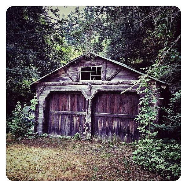 Barn Photograph - Abandoned #1 by Natasha Marco
