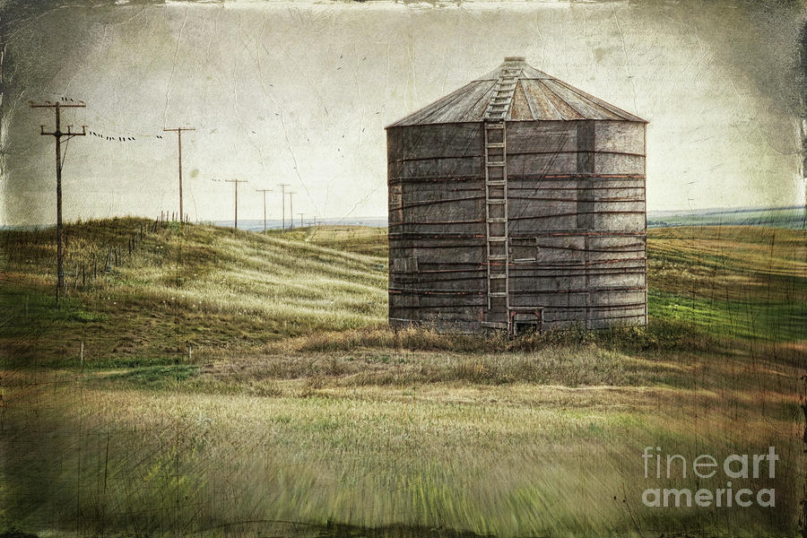 Architecture Photograph - Abandoned wood grain storage bin in Saskatchewan #1 by Sandra Cunningham