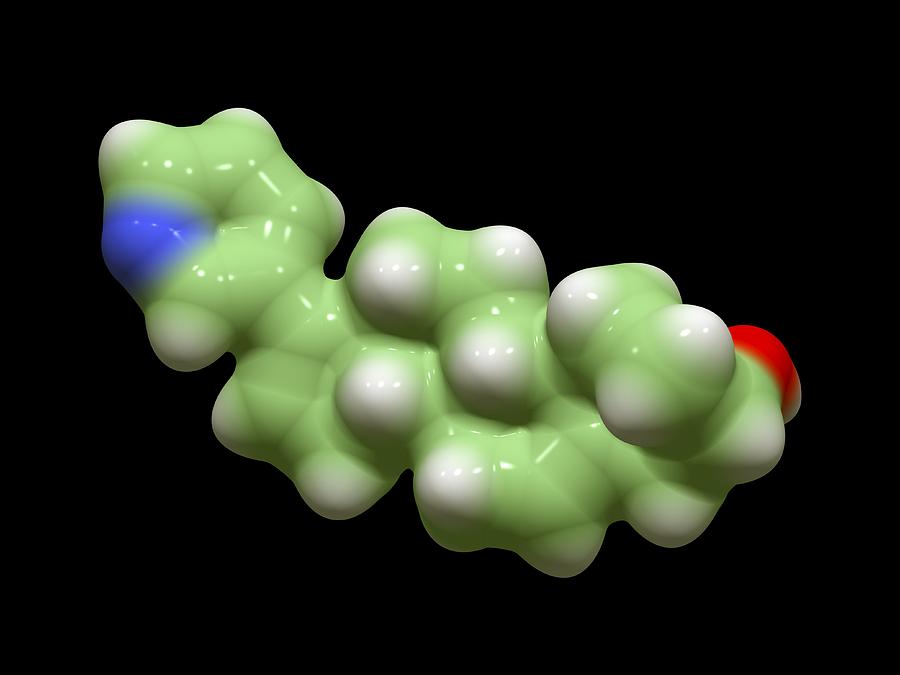 Abiraterone Photograph - Abiraterone Prostate Cancer Drug Molecule #1 by Dr Tim Evans