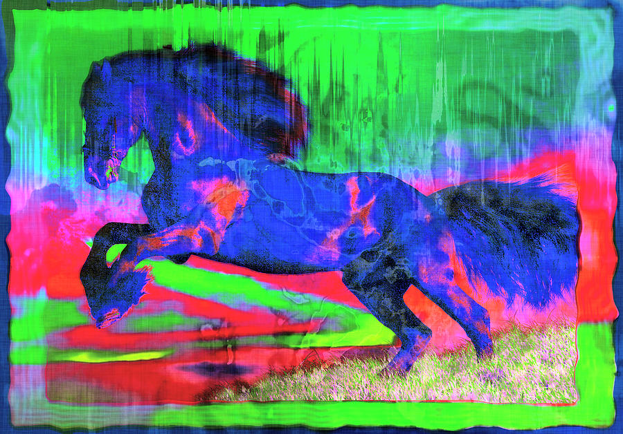 Abstract Horse Photograph