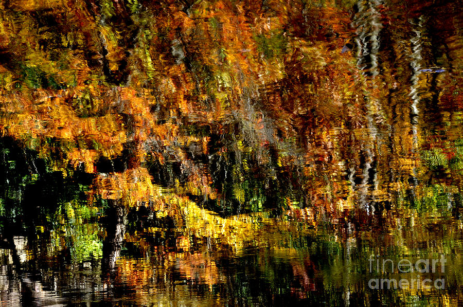 Abstract Reflections #1 Photograph by Thomas R Fletcher