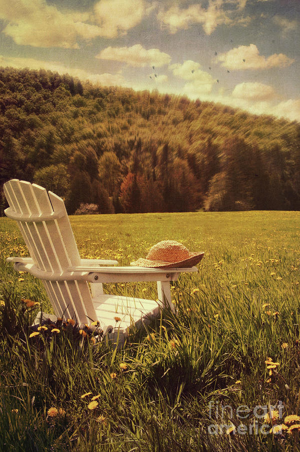 Adirondack chair in a field of tall grass #1 Photograph by Sandra Cunningham