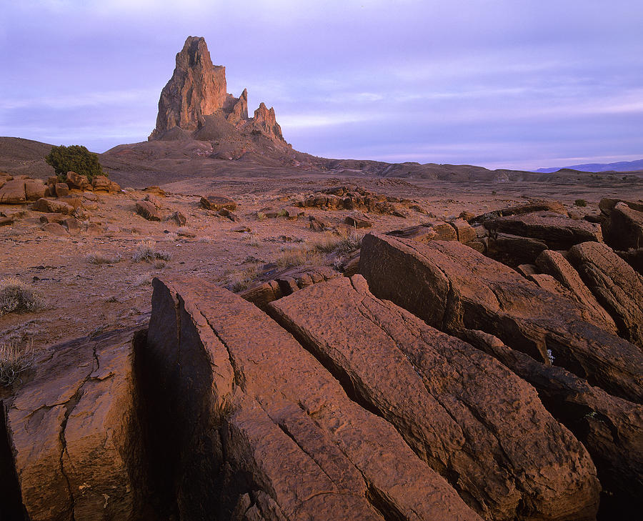 Agathla Peak The Basalt Core Of An Photograph by Tim Fitzharris