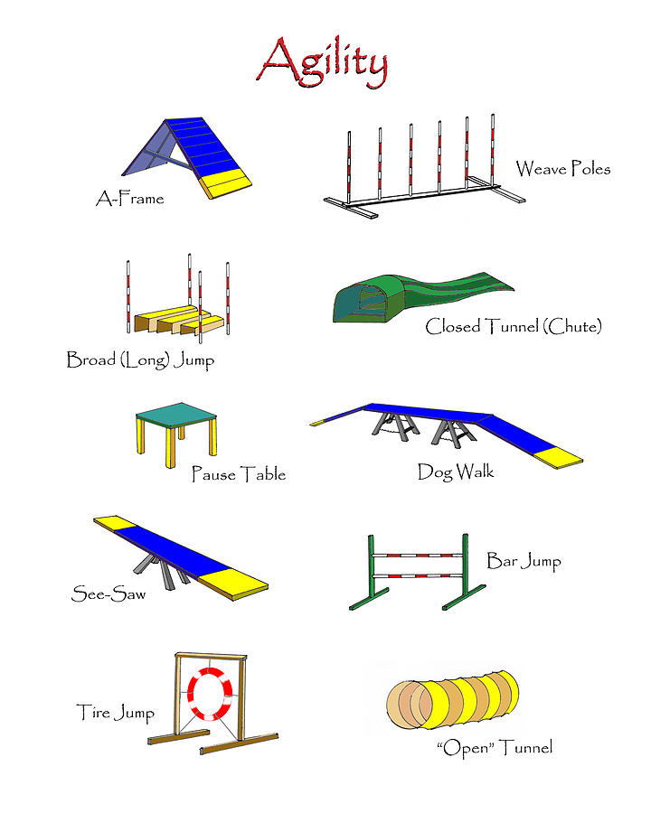 Agility Equipment Digital Art by Brad Thomas