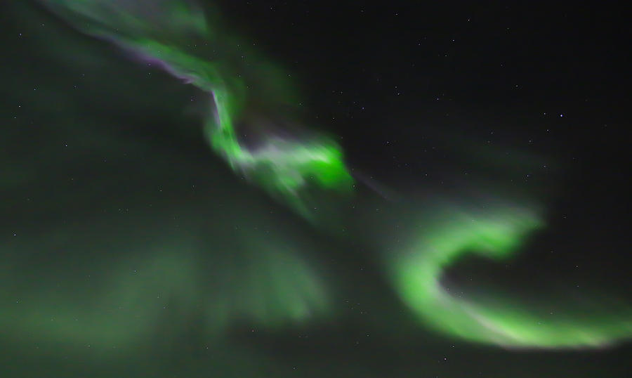 Alaska Aurora Borealis #1 Photograph by Sam Amato