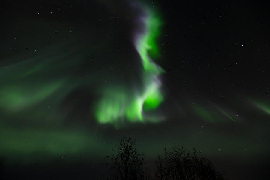 Alaska Northern Lights #1 Photograph by Sam Amato