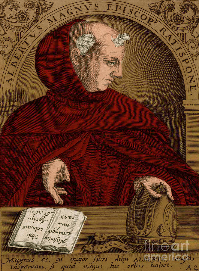 Albertus Magnus, Medieval Philosopher #1 Photograph by Science Source