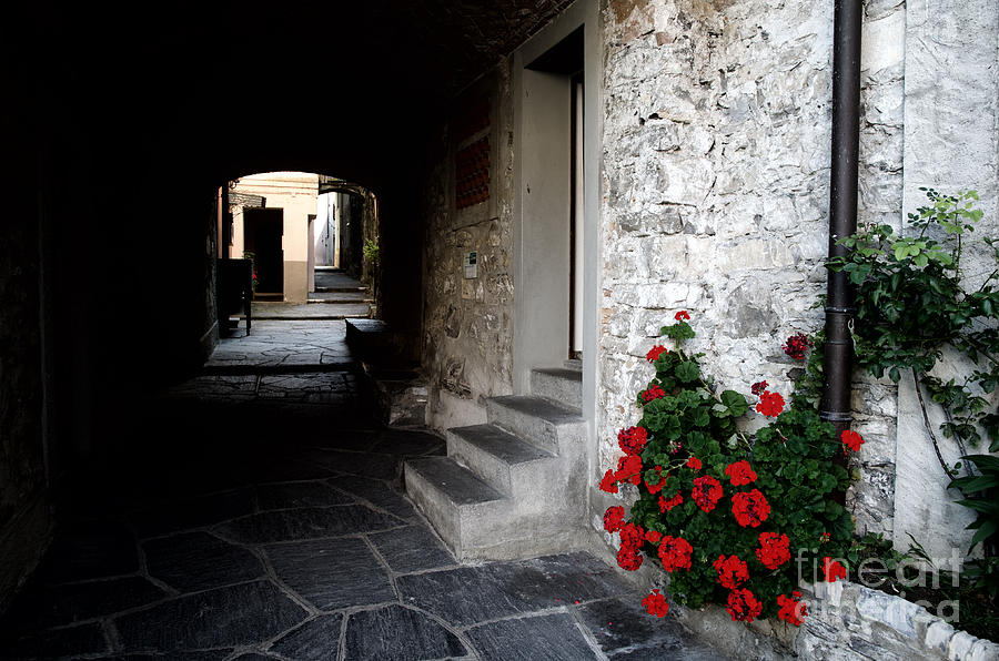 Flower Photograph - Alley with arches #1 by Mats Silvan