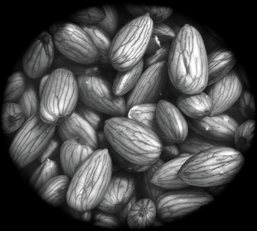 Almonds in H2O #1 Photograph by Henri Irizarri