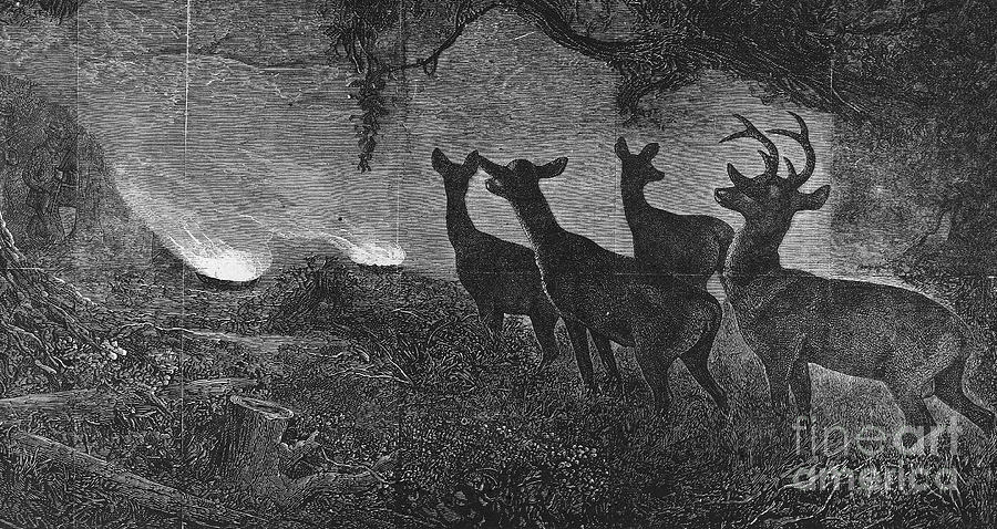 America: Deer Hunt, 1867 #1 Photograph by Granger