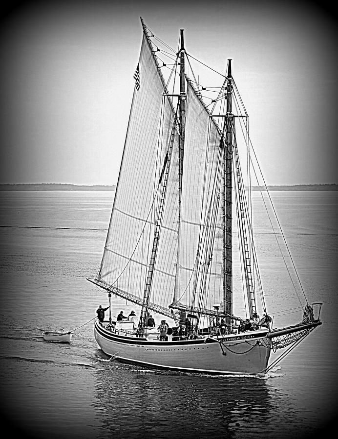 American Eagle Sail #1 Photograph by Doug Mills
