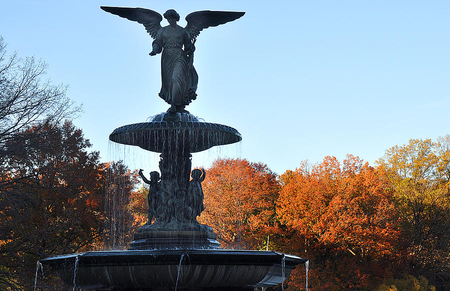 Fall Photograph - Angel Central Park by Diane Lent