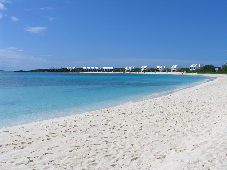 Anguilla #2 Photograph by Mark Norman