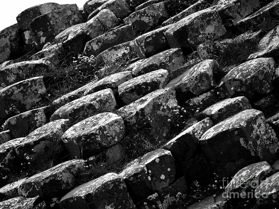 Another View of the Giants Causeway #2 Photograph by Patricia Griffin Brett