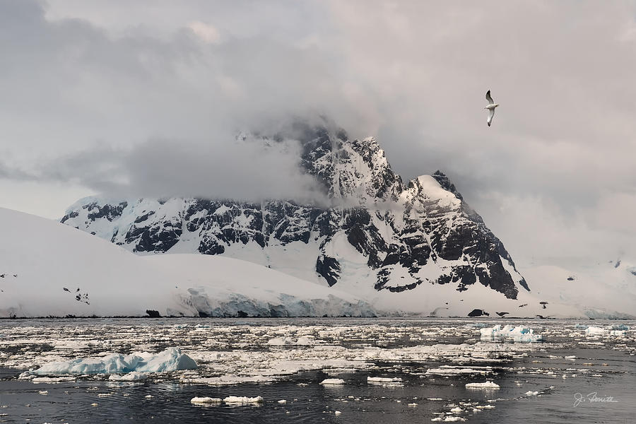 Antarctic No. 11 #1 Photograph by Joe Bonita